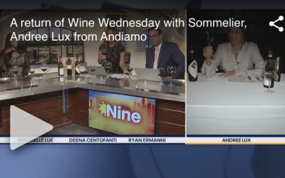 Fox 2 Wine Wednesday with Andiamo Sommelier